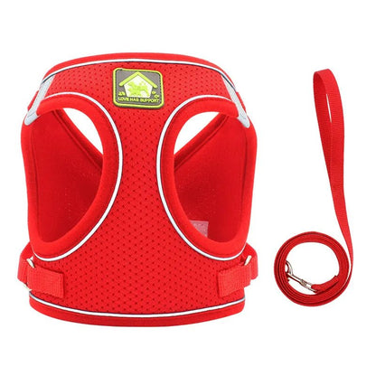 Paws Dog Harness with Leash - Paws For Gifts