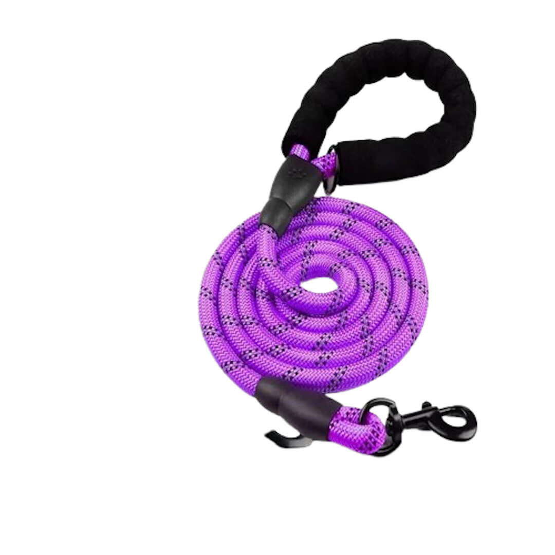 Paws Strong Reflective Leash | Free Shipping – Paws For Gifts