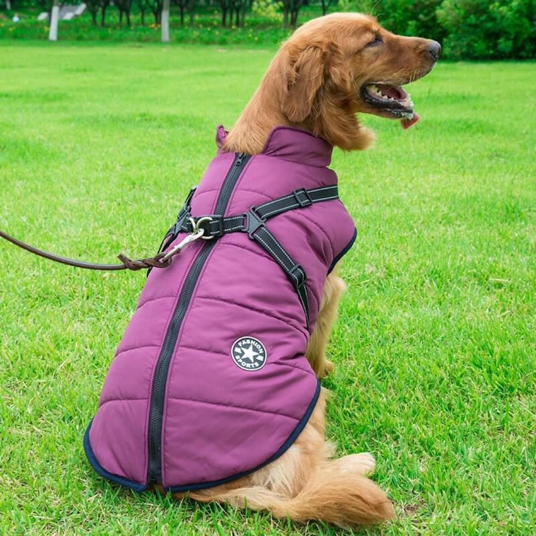 Paws Winter Dog Jacket & Harness - Paws For Gifts