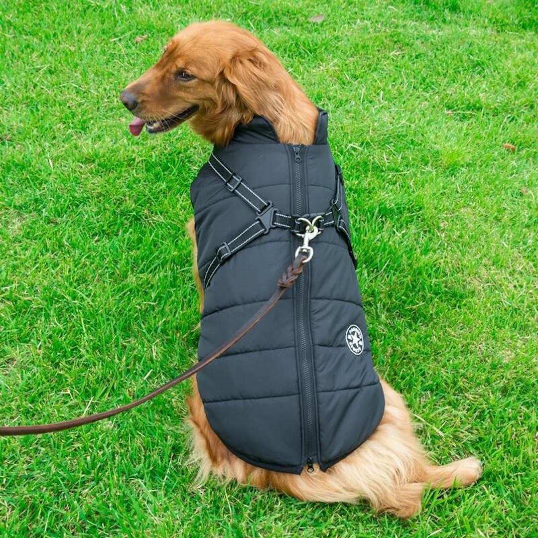 Paws Winter Dog Jacket & Harness - Paws For Gifts