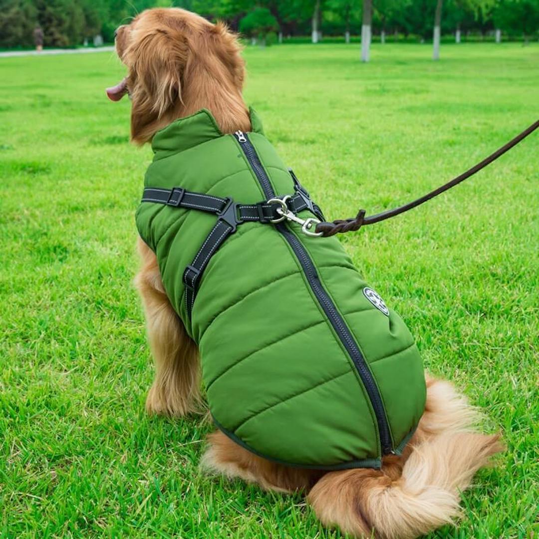 Paws Winter Dog Jacket & Harness - Paws For Gifts