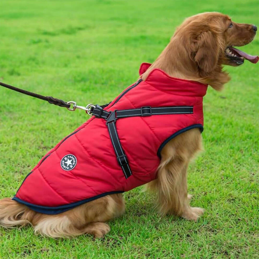 Paws Winter Dog Jacket & Harness - Paws For Gifts